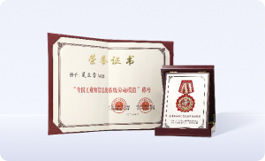 全国工业和信息化系统劳动模范